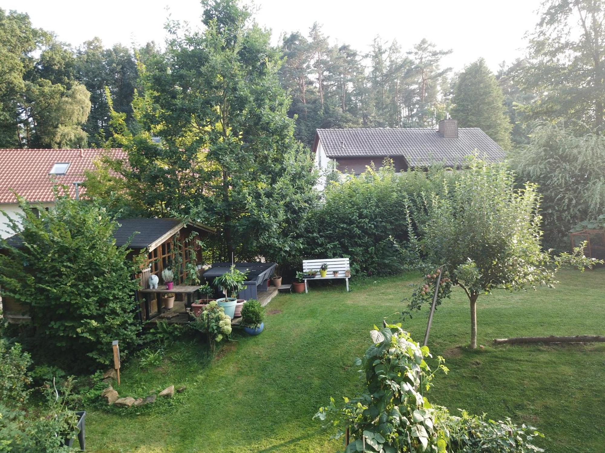 Ruhige Ferienwohnung „Suedhang“ Direkt Am Wald Bad Arolsen Exterior foto